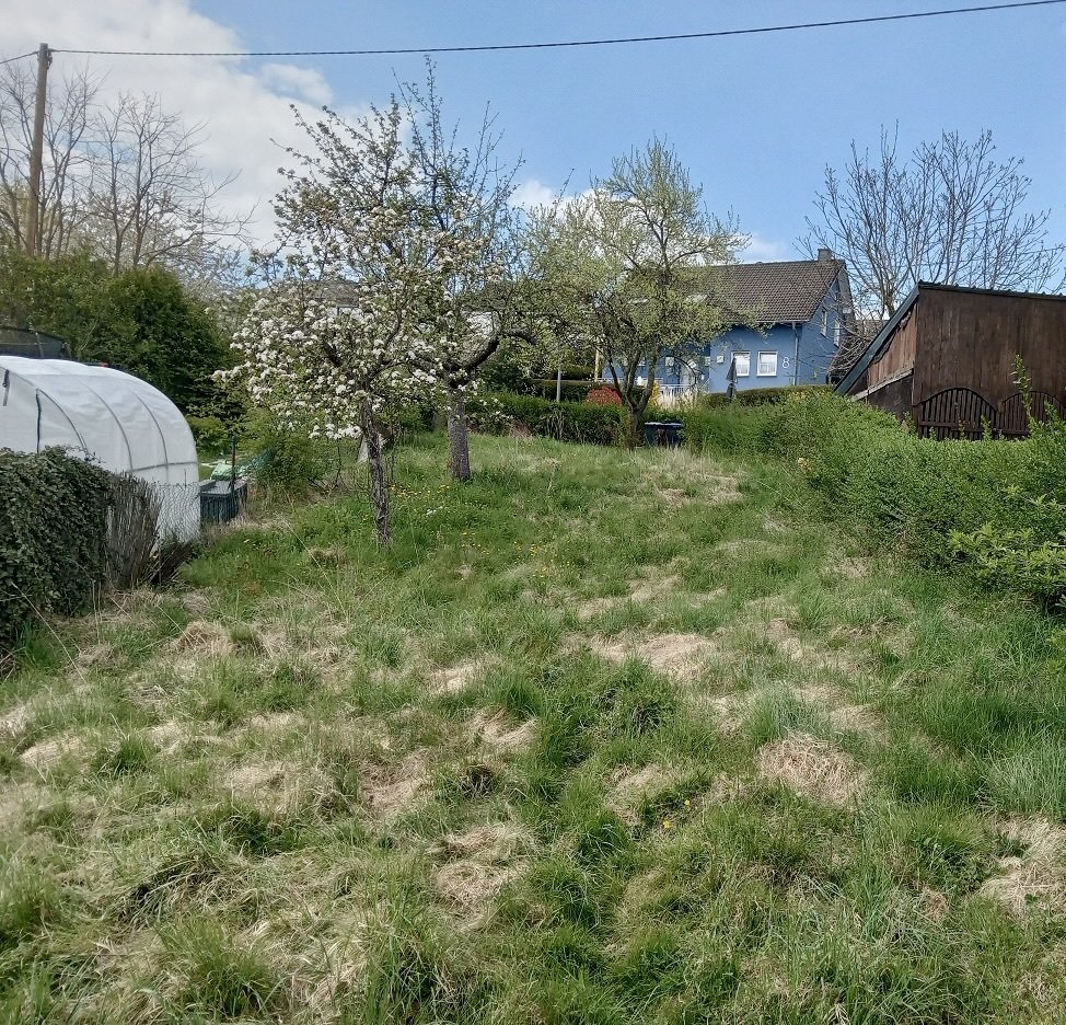 Kleines aber feines Baugrundstück für ein TinyHouse!