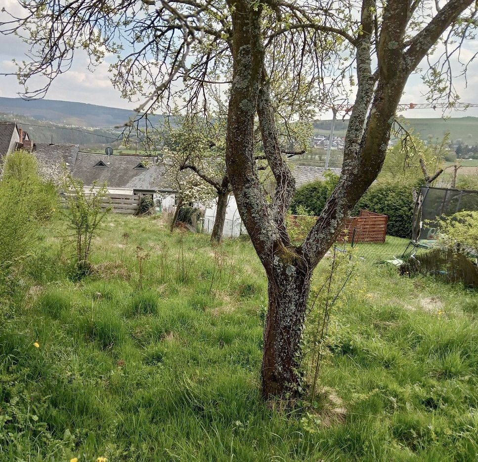 Kleines aber feines Baugrundstück für ein TinyHouse!