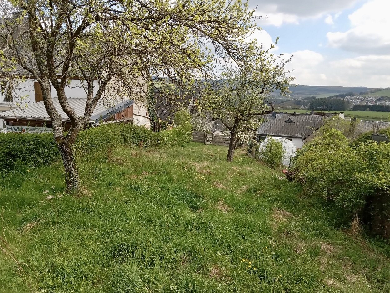 Kleines aber feines Baugrundstück für ein TinyHouse!