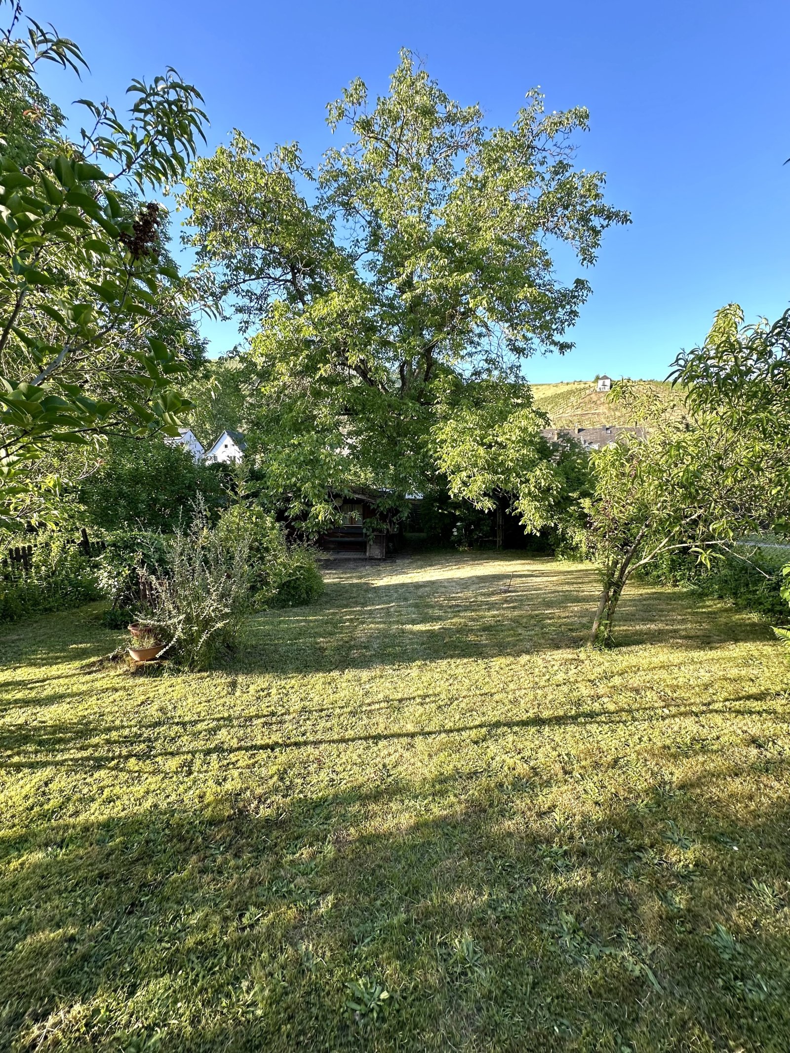 TRAUMGARTEN! Unverbaubarer Panoramablick auf die Weinberge und Mariensäule! Großzügiges, freistehendes Einfamilienhaus /Im Grünen u dennoch Stadtnah!