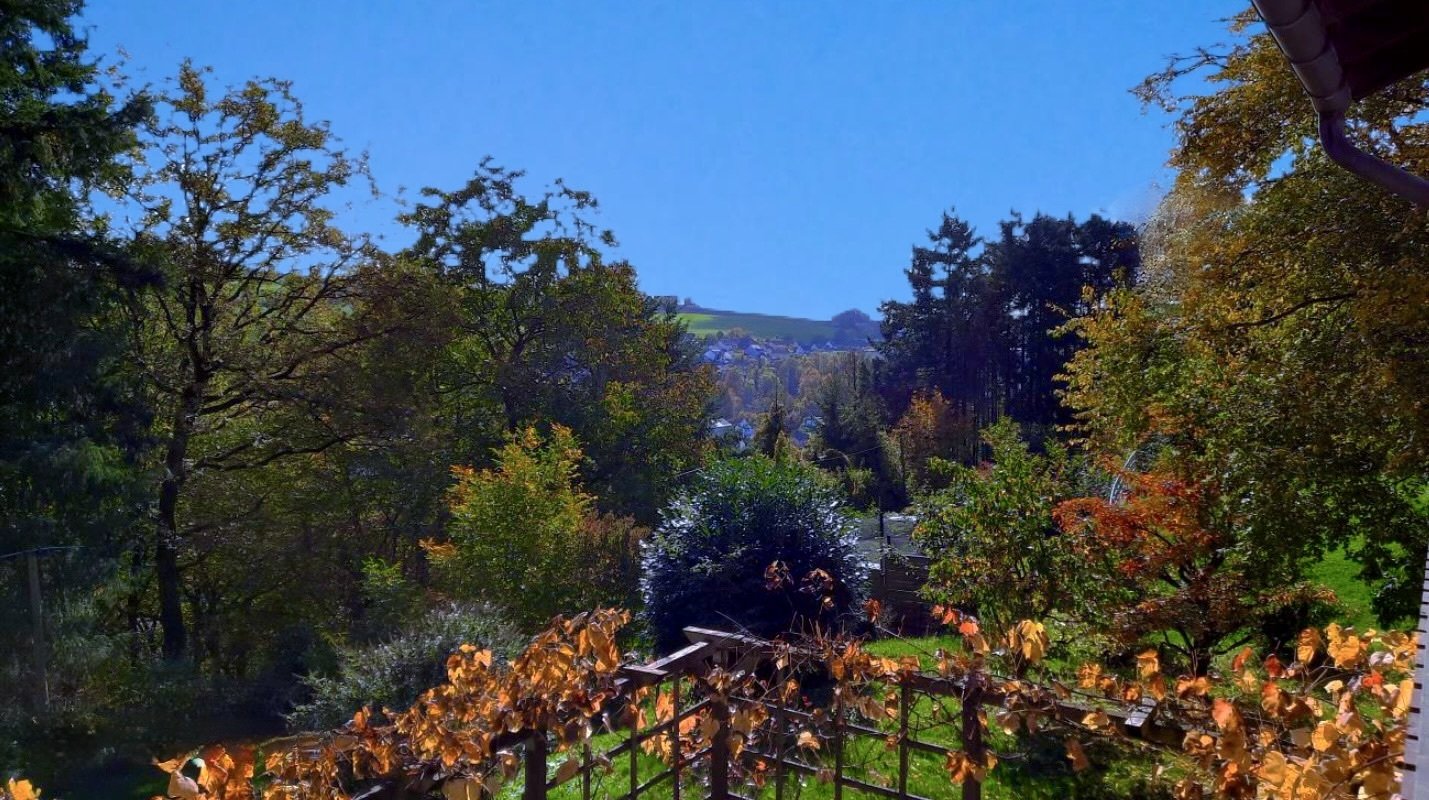 Eine Perle unweit von Trier! Idylle Pur! Freist. Traumhaus mit ELW, parkähnl. Garten/Anbau bis zu 8 m möglich!