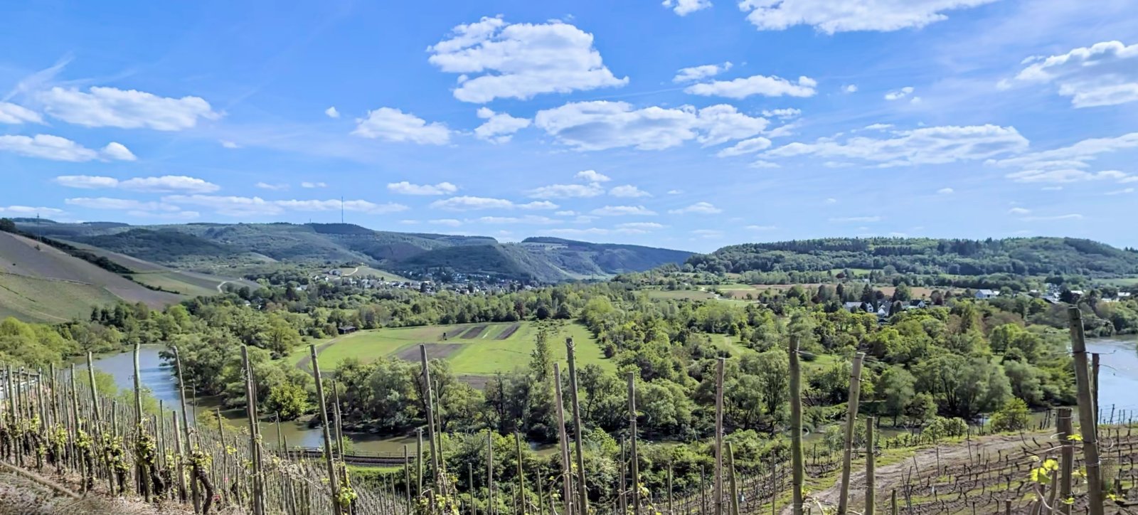 Exklusives Wohngefühl in Wiltingen – Modernes Familienhaus mit Fernblick und gehobener Ausstattung