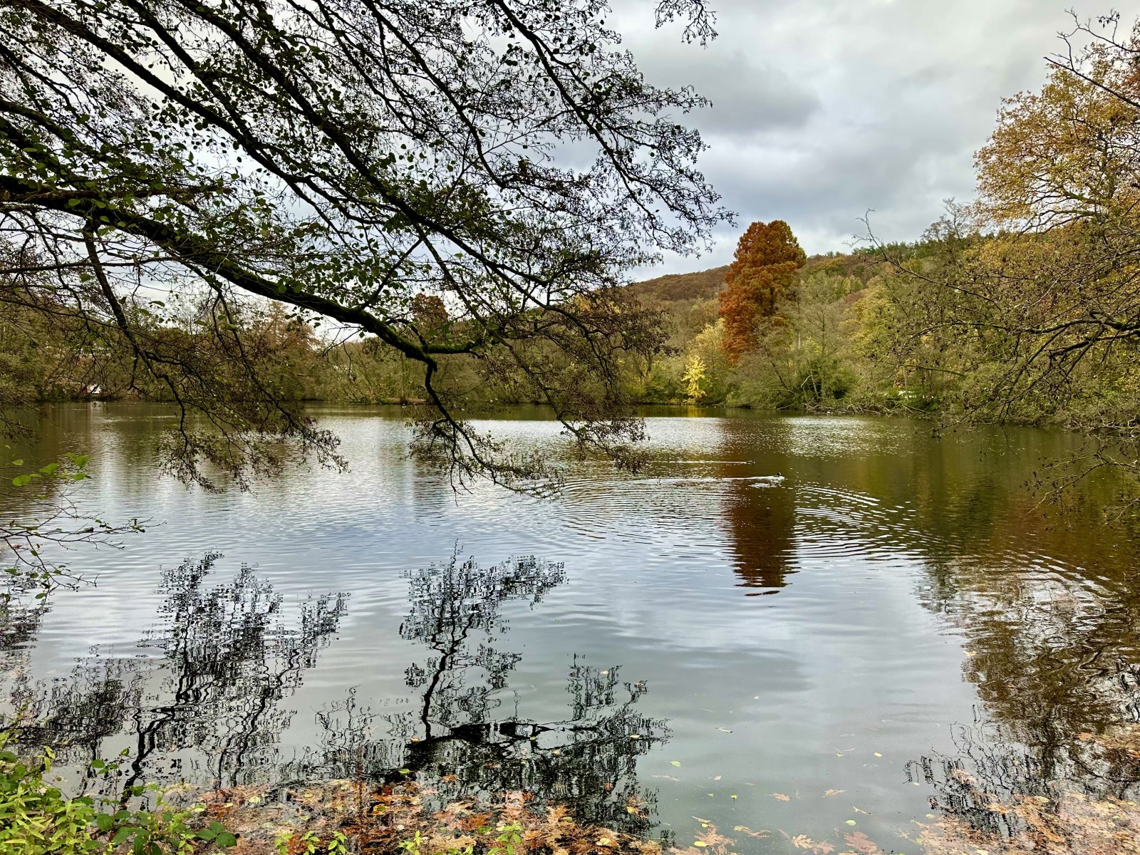 Lebensqualität nahe dem Mattheiser Weiher - Fernblick ins Grüne inklusive!