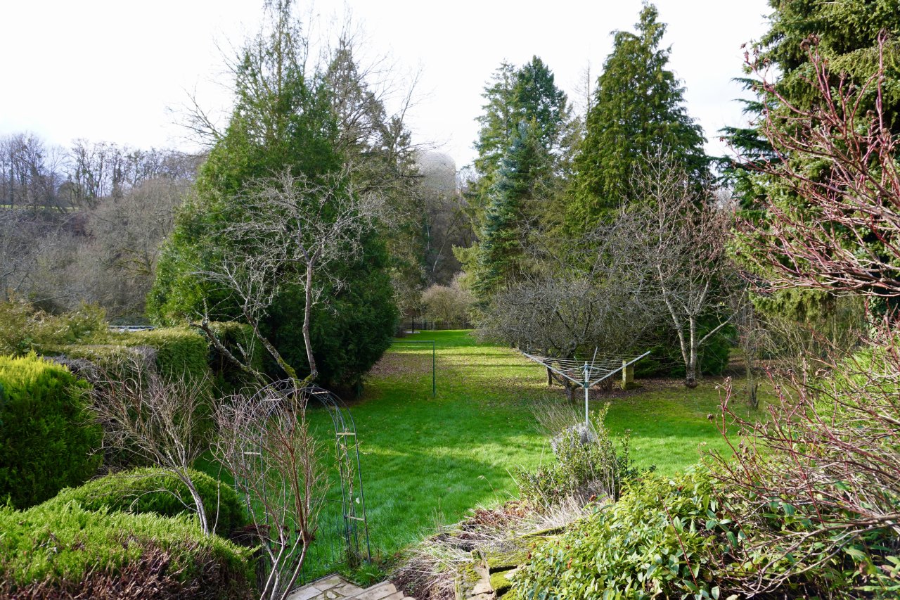 Gartenfoto 2