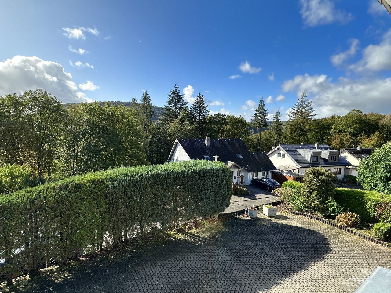 Blick in den Wald von der Terrrasse aus 