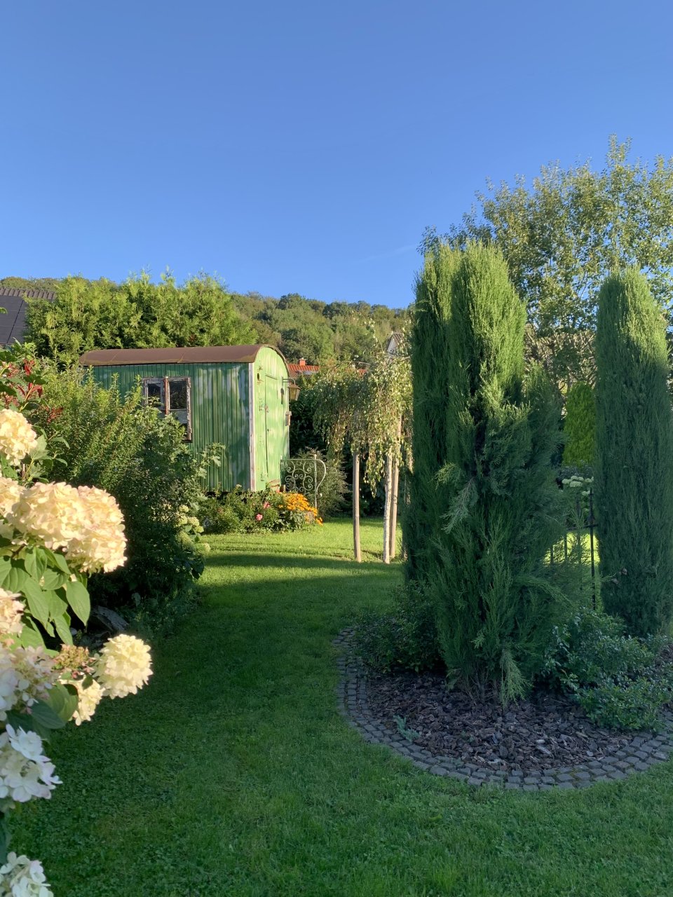 Impressionen Garten 2