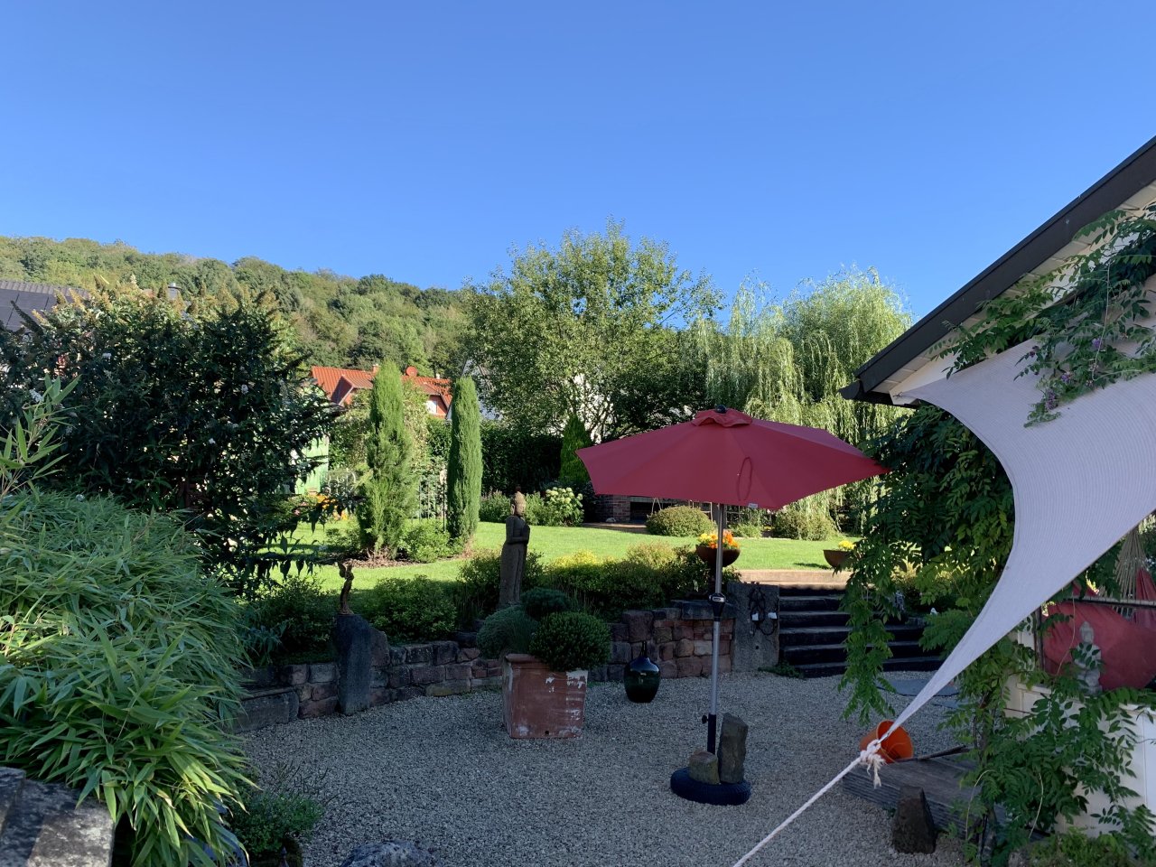 Blick in den Garten 