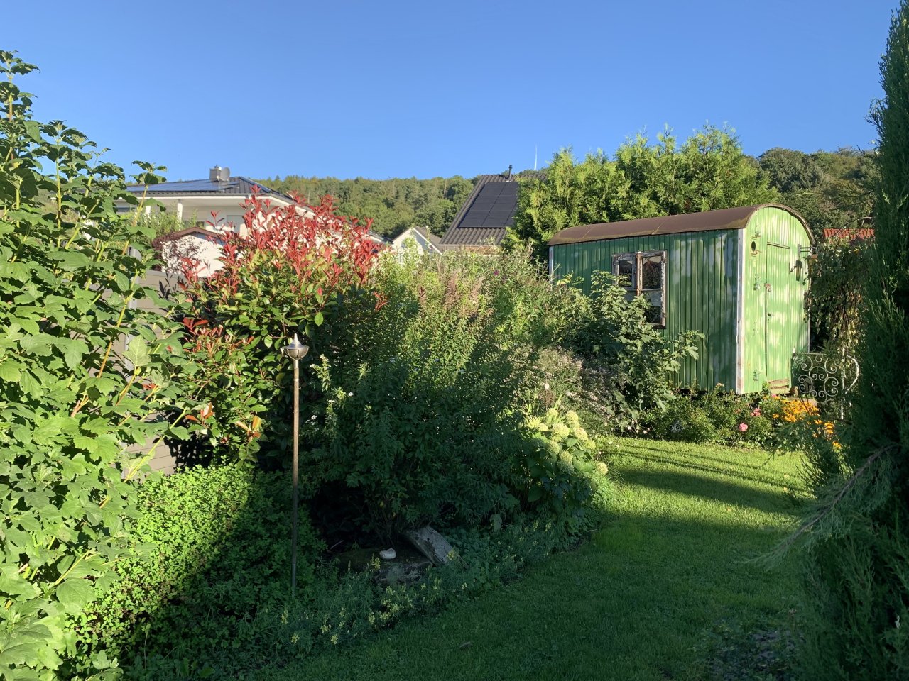 Impressionen Garten 3