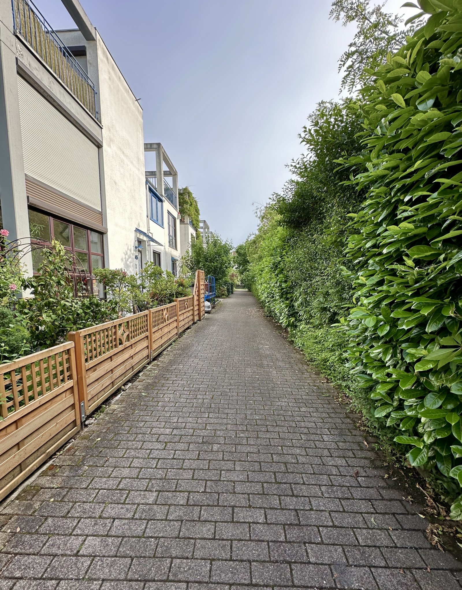 Der Weg zum Haus 