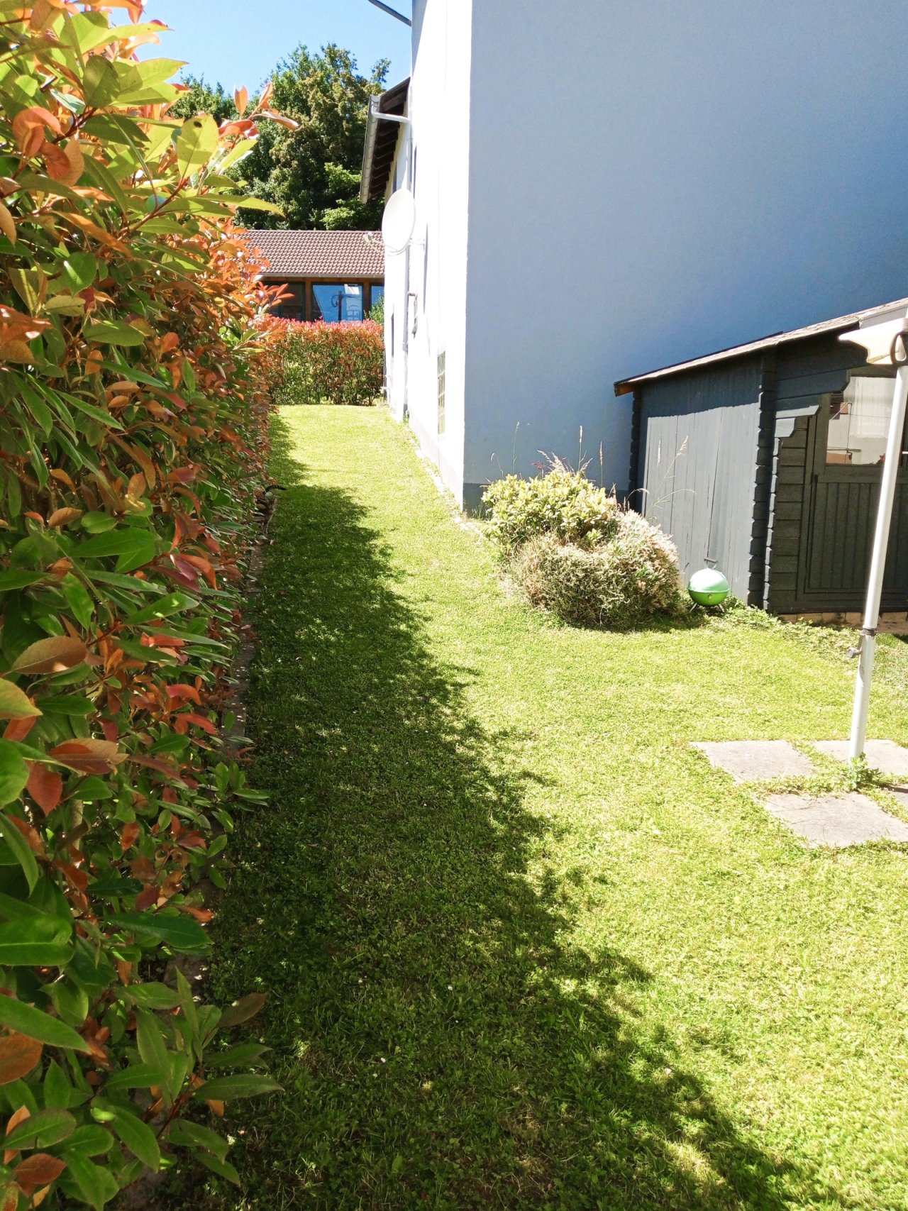 Seitlicher Gartenweg mit Sichtschutz-Hecke Seitlicher Gartenweg mit Sichtschutz-Hecke