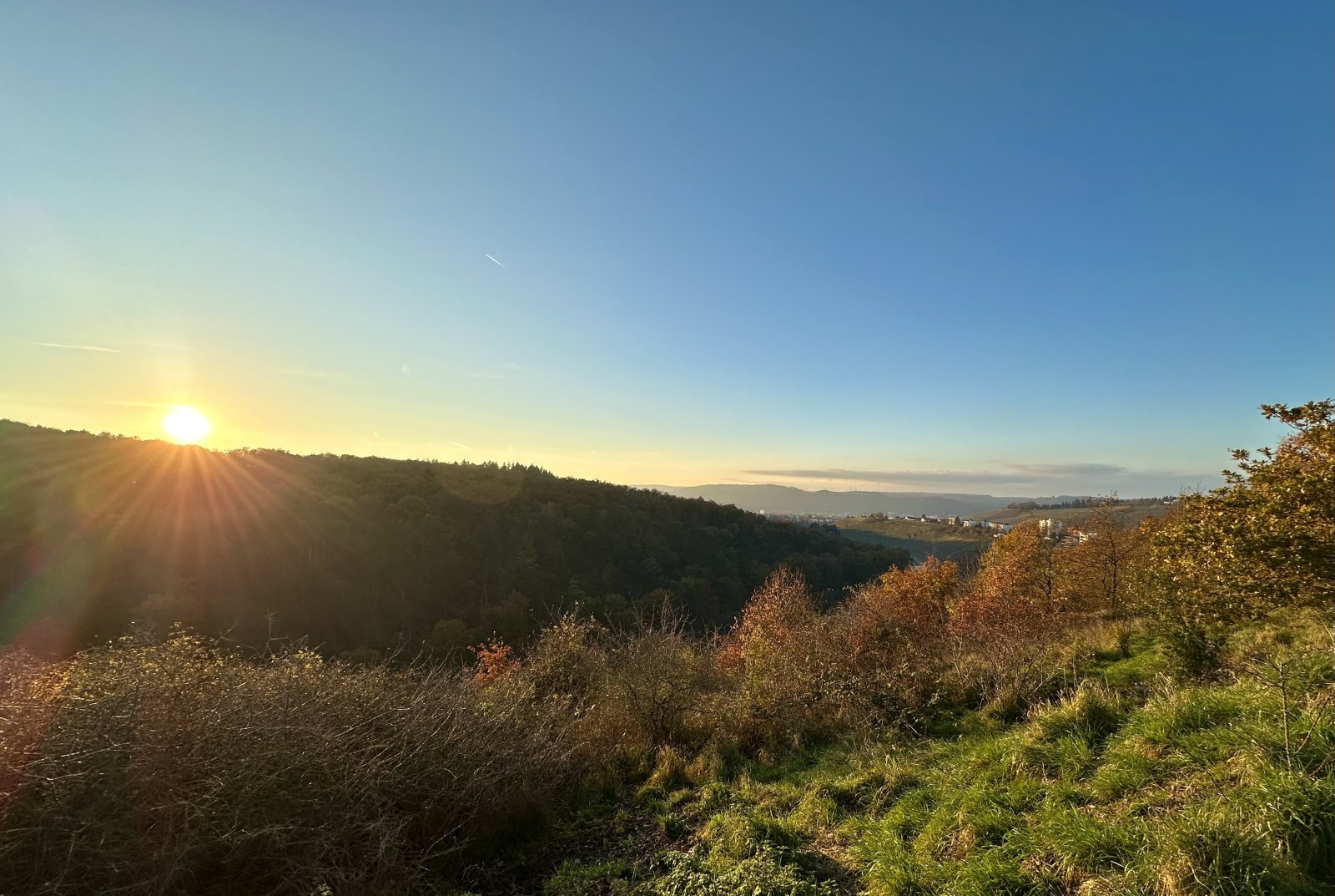 Impressionen von Trier-Olewig