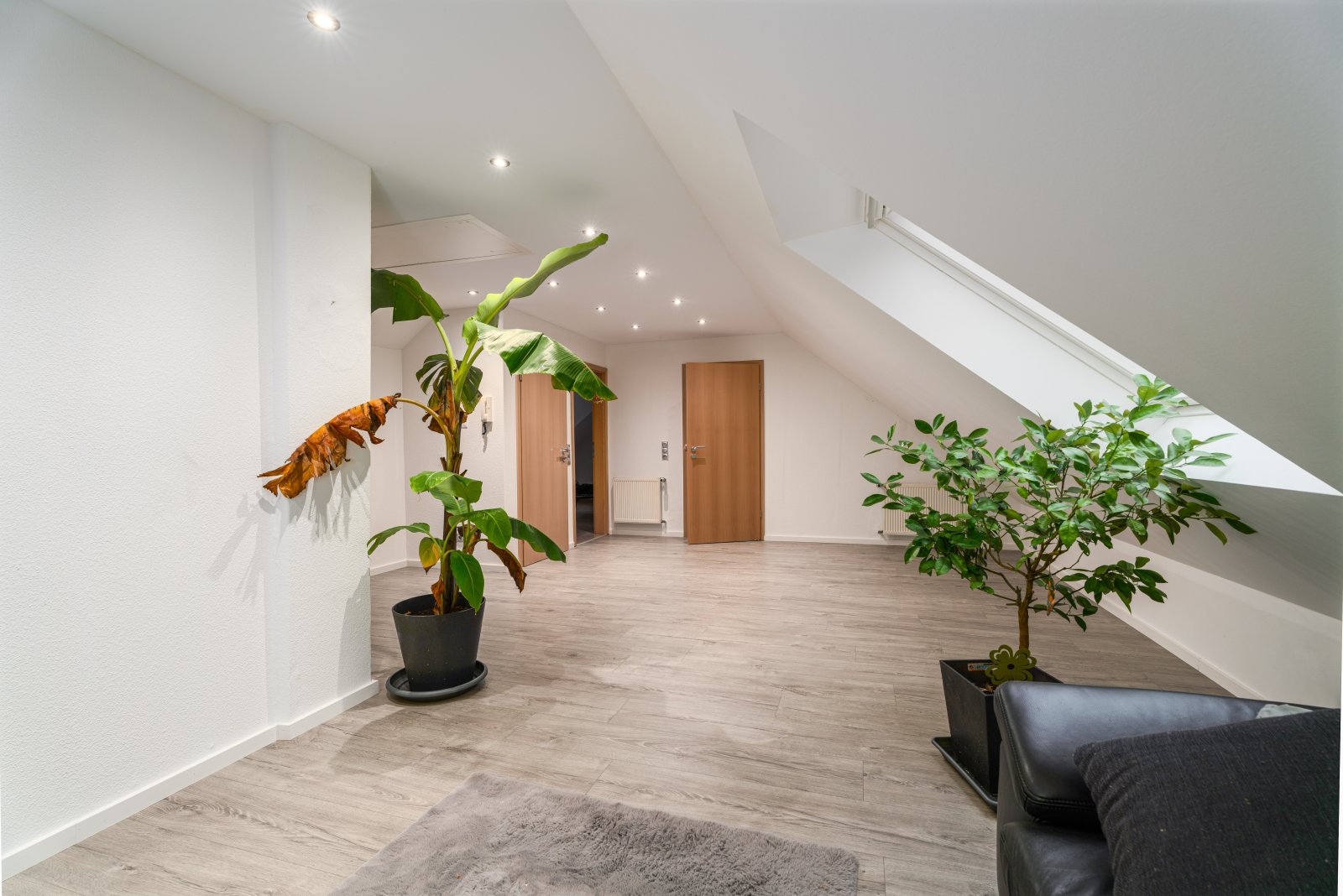 Ihr neues Wohlfühl-Refugium!