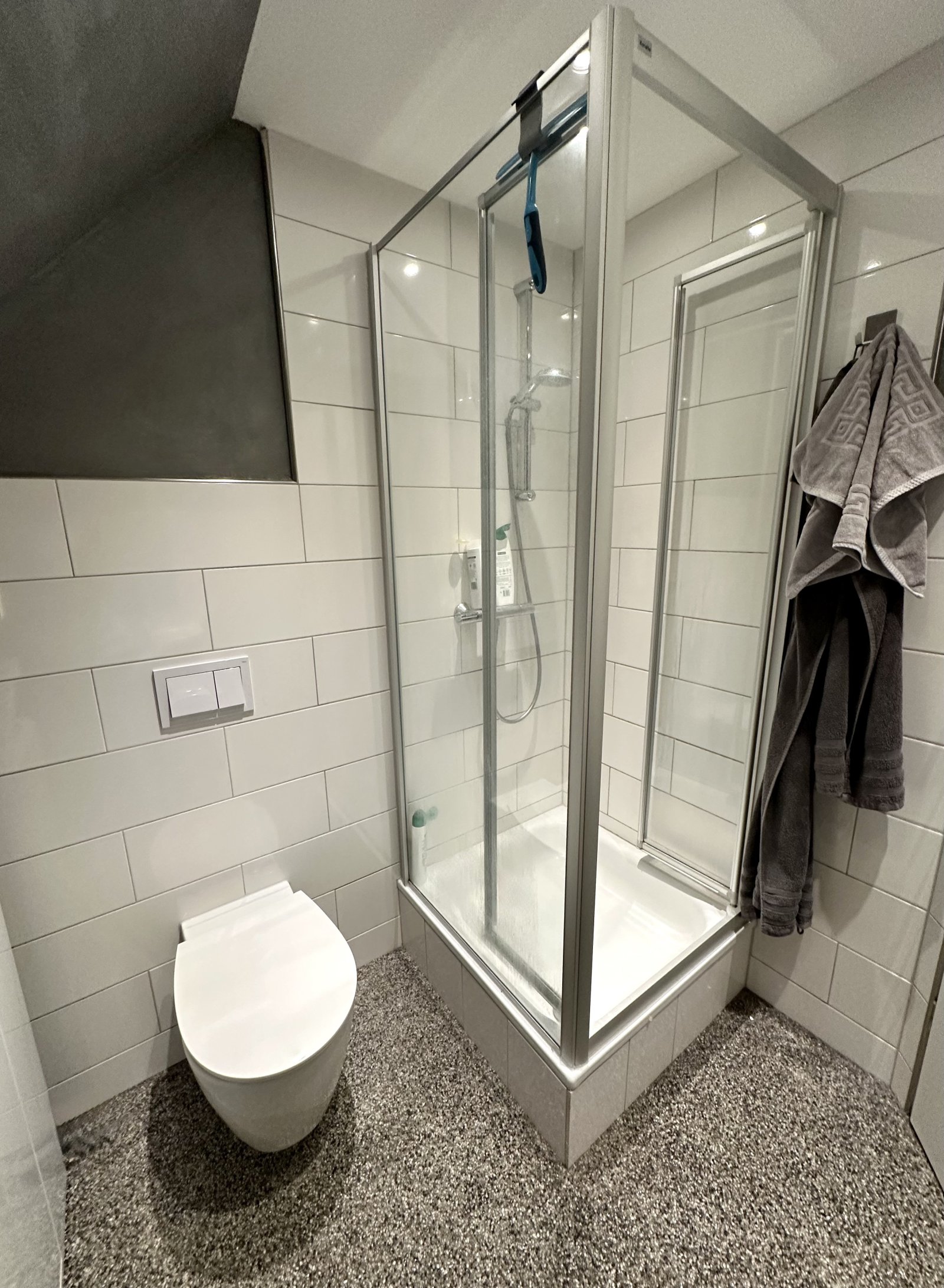 Edle Glasdusche und wandhängende Sanitärausstattung in zeitlosem Design (2.OG) App.3