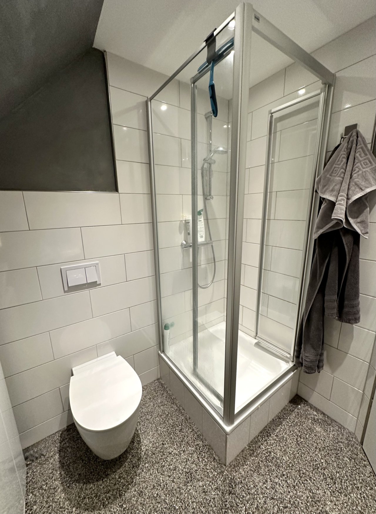 Edle Glasdusche und wandhängende Sanitärausstattung in zeitlosem Design (2.OG) App.3