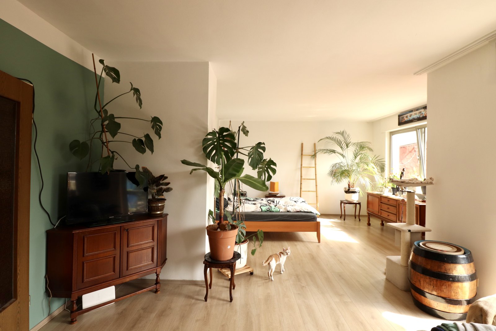 Loft-Schlafzimmer mit offener Raumgestaltung und Tageslicht