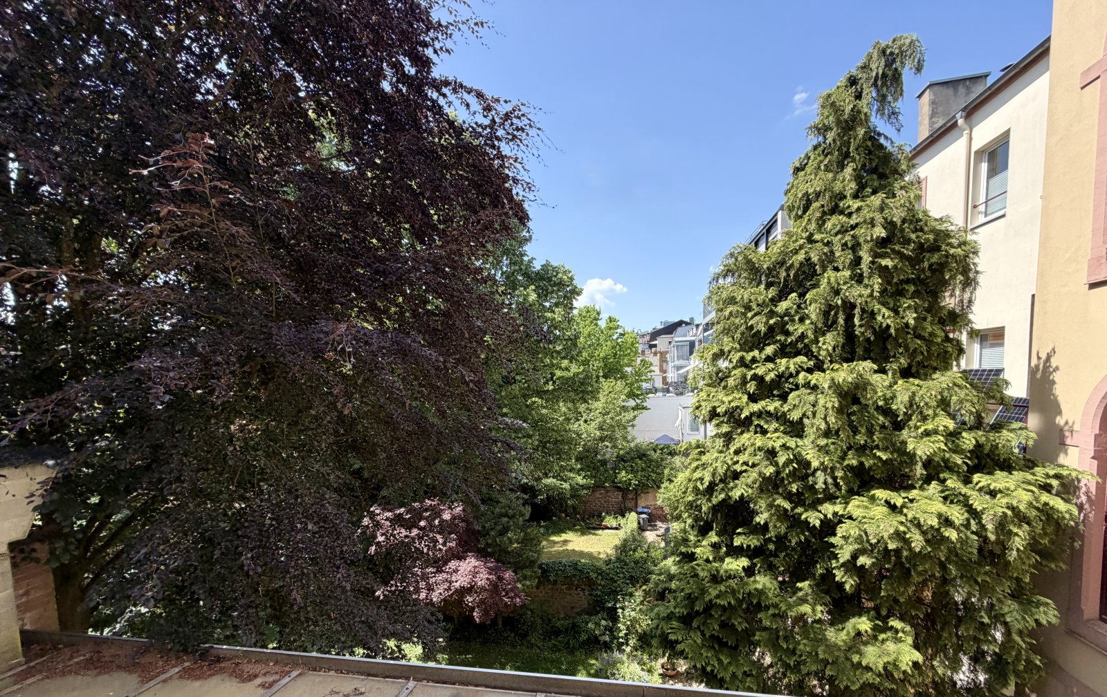 Ruhige Gartenaussicht mit altem Baumbestand und grüner Oase Ruhige Gartenaussicht mit altem Baumbestand und grüner Oase