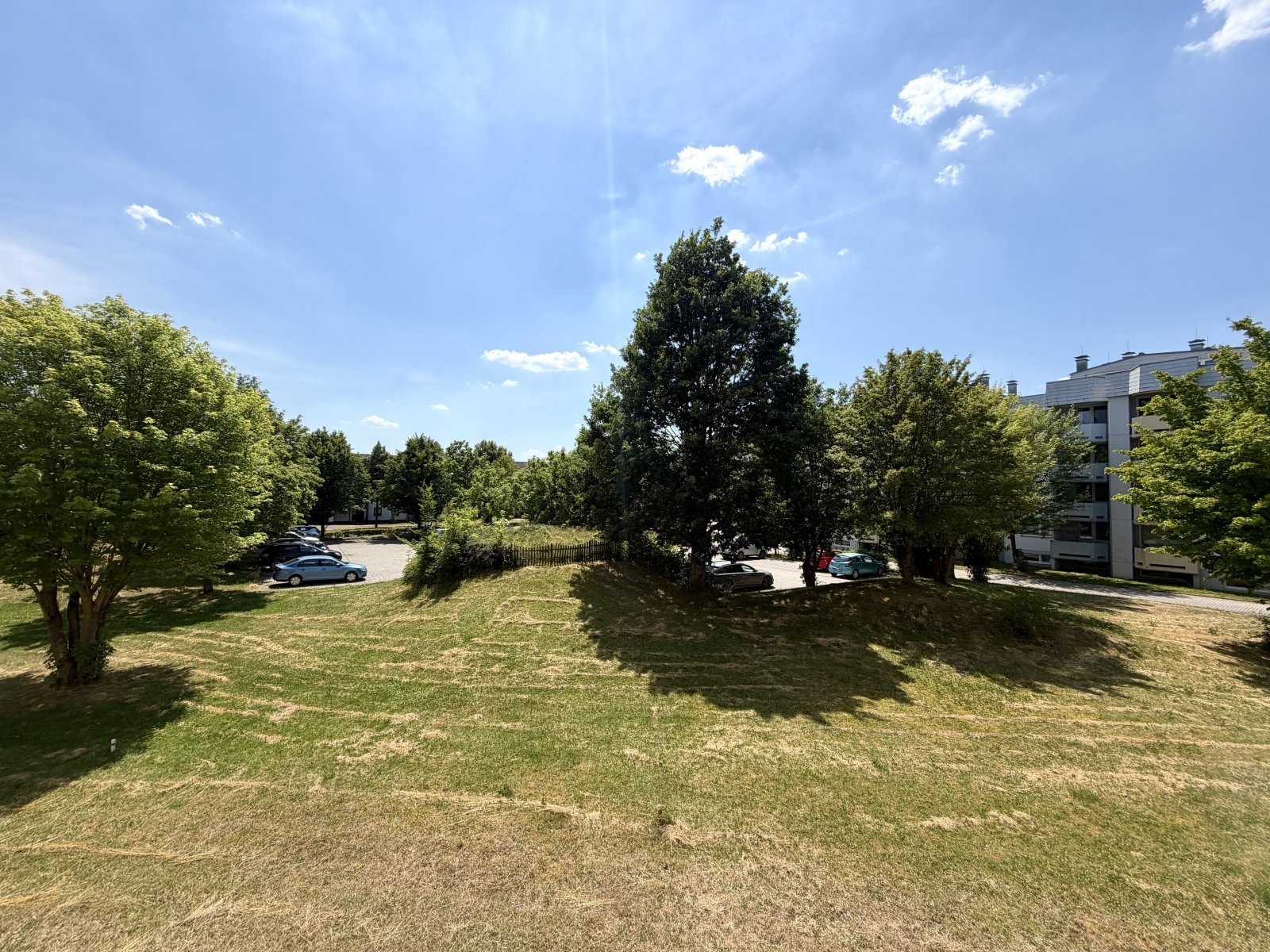 Grünes Wohnumfeld mit altem Baumbestand und ruhiger Parkplatzsituation