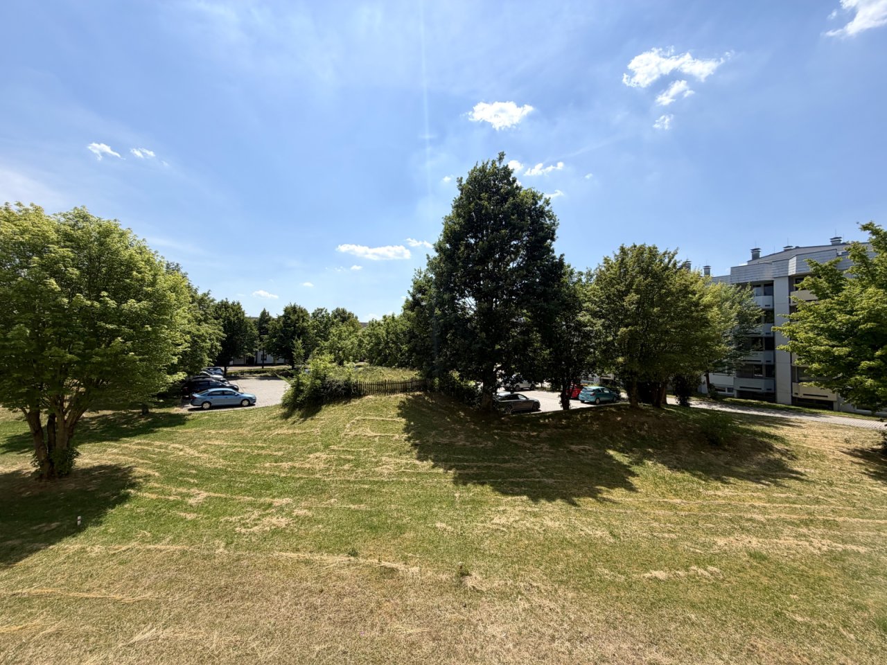 Grünes Wohnumfeld mit altem Baumbestand und ruhiger Parkplatzsituation