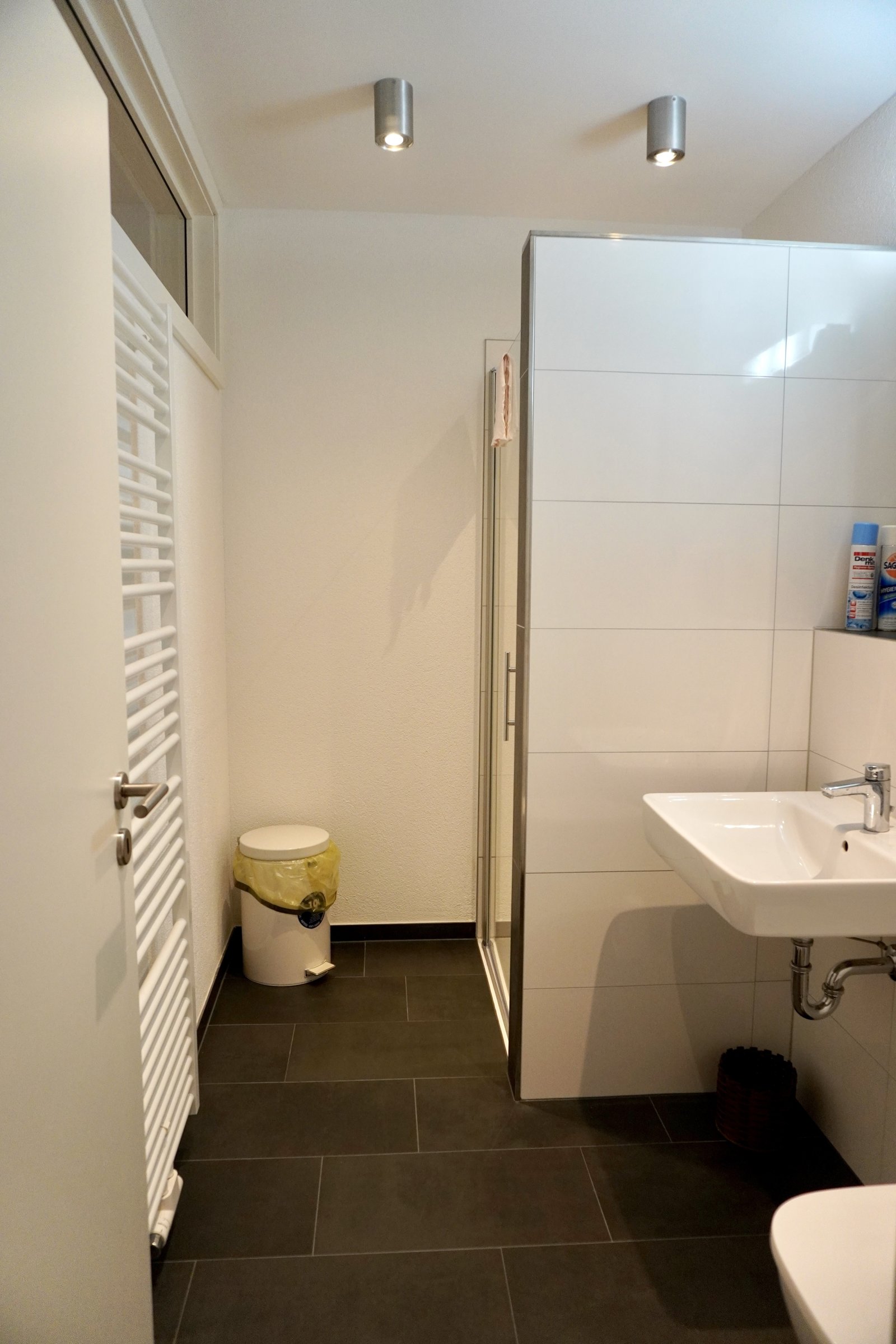Modernes Gäste-WC mit bodengleicher Dusche und praktischer Raumaufteilung