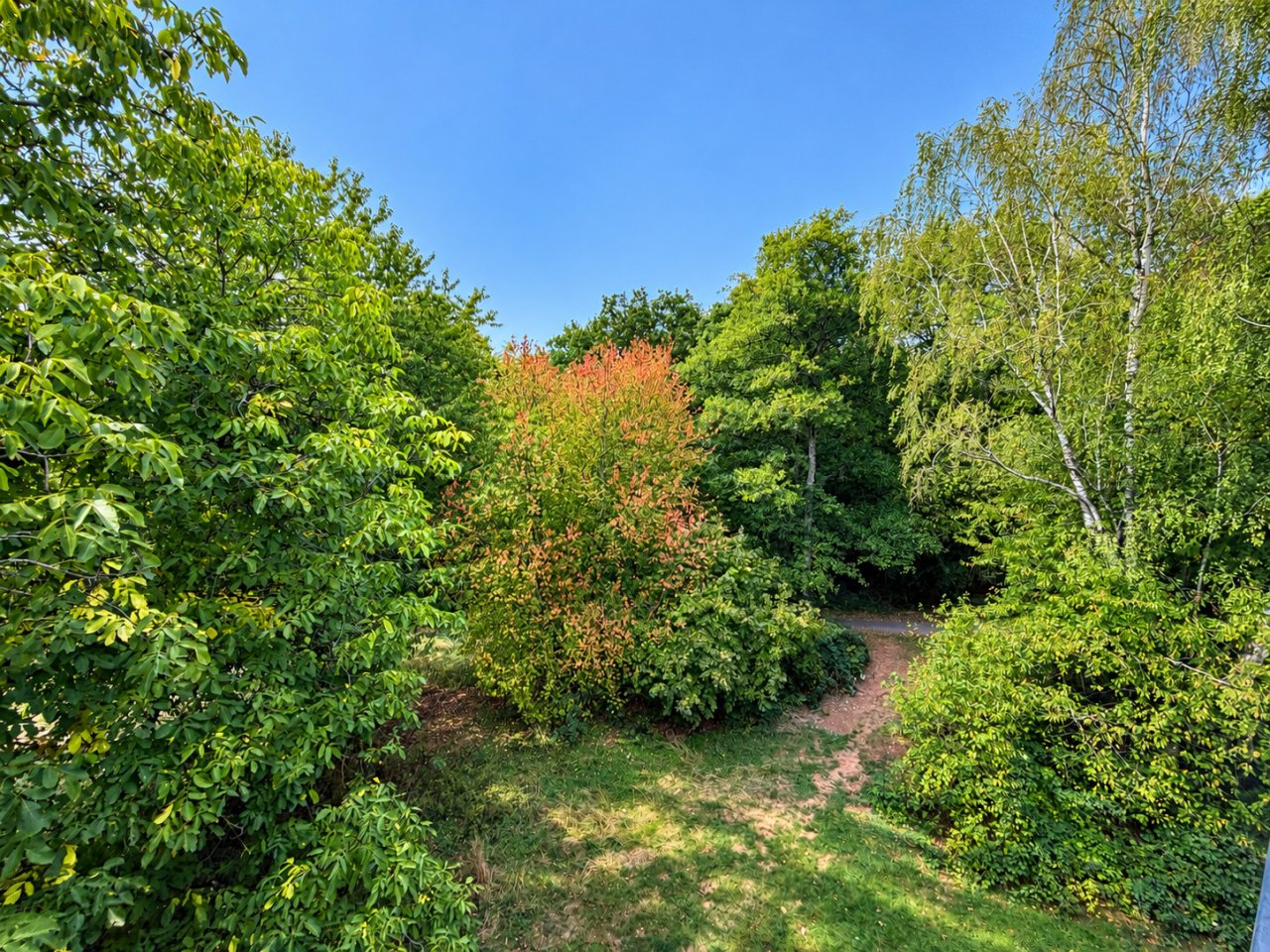 Waldgrundstück mit naturbelassenem Charakter und Bachlauf Waldgrundstück mit naturbelassenem Charakter und Bachlauf
