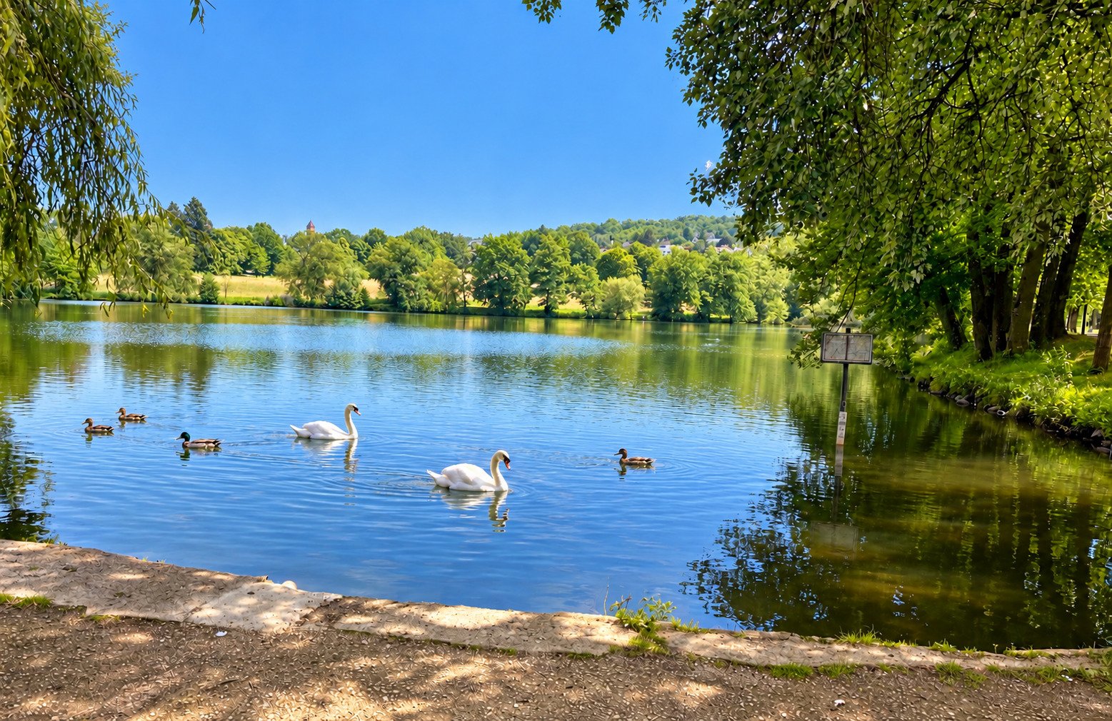 Direkte Lage am Matthaiser Weiher – Natur pur vor der Haustür Direkte Lage am Matthaiser Weiher – Natur pur vor der Haustür